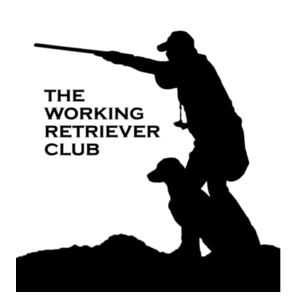 Long Sleeve T Design